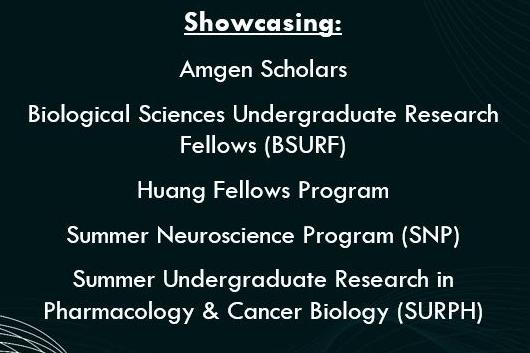 showcasing program names